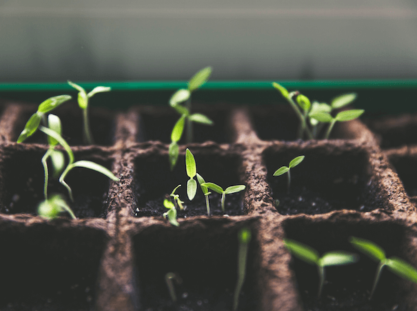 agence__growth_marketing_3