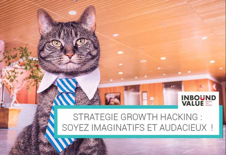 Growth hacking